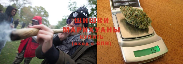 прущие грибы Алзамай