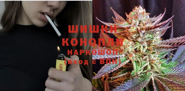 прущие грибы Алзамай