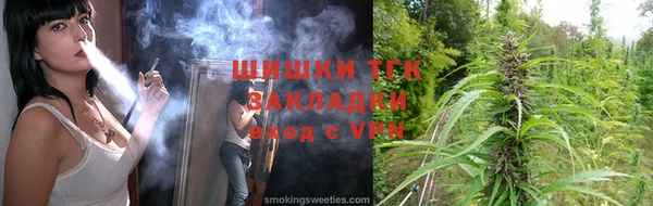 прущие грибы Алзамай